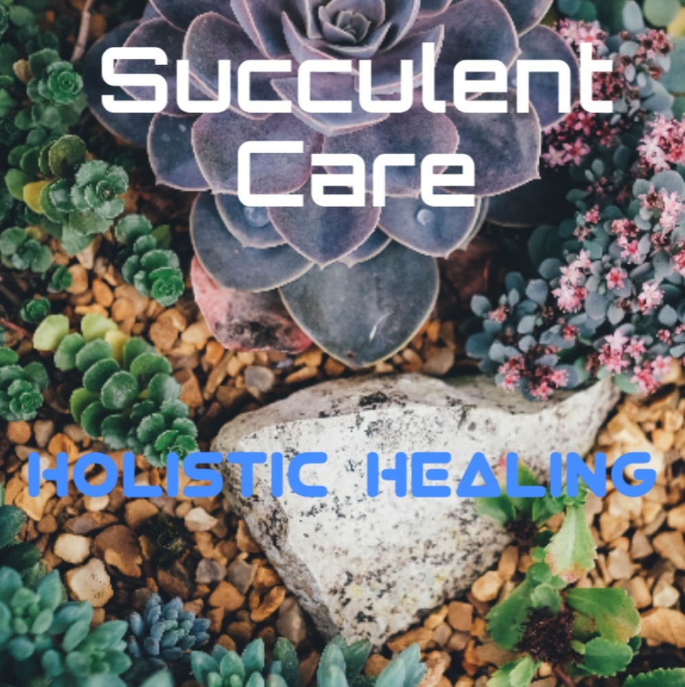 Meet your Posher, Rasheeda